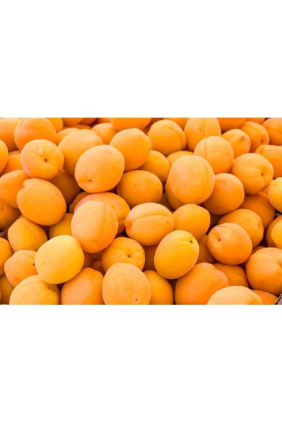 Стиглі плоди сорту Дарій 